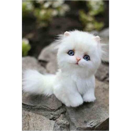 Kexinzu 5D DIY Full Square Round Stone Diamond Painting Cross Stitch Animal Cat 3D Diamond Embroidery Mosaic Work Hobby Gift