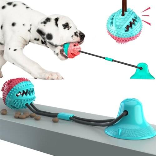 Multifunctional Pet Dog Push Ball Bite Toys Suction Cup Elastic Rope Dog Tooth Cleaning Chew Toys Dog Interactive Play Toy