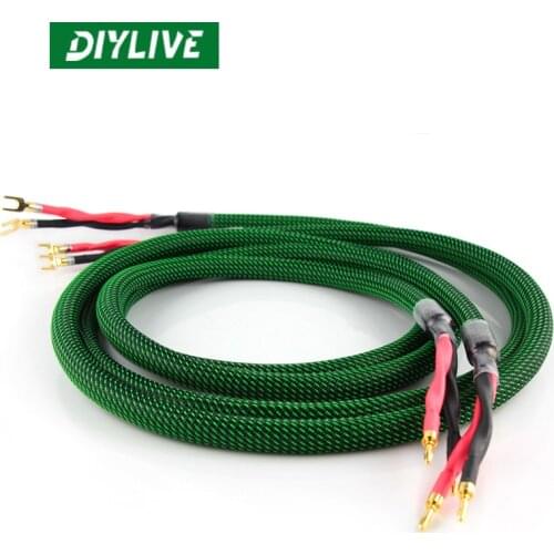 DIYLIVE Hi-Fi The United States 4 core coarse McIntosh Fever speaker line audio box line high and low double division audio cabl