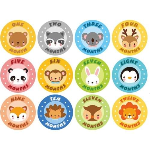 New Baby Monthly Stickers,Baby First Year Month Age Growth Milestones Sticker Unisex