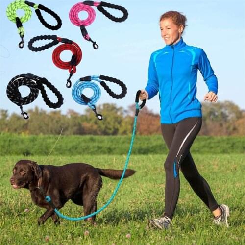 Nylon Training Dog Leash Webbing Recall Long Lead Line Pet Traction Rope Great for Teaching Camping Backyard