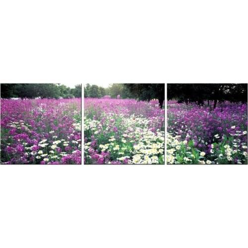 3 Piece Canvas Wall Art Purple White Flowers Painting Picture Print On Canvas poster Wall Pictures For Living Room wall decor