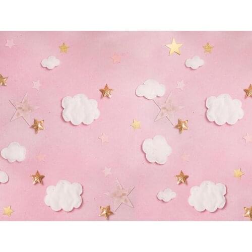 Pink background baby girl photo vinyl kids birthday photography backgrounds for children photo Studio props photophone NB-243