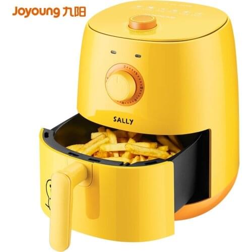 LISM Electric Fryers