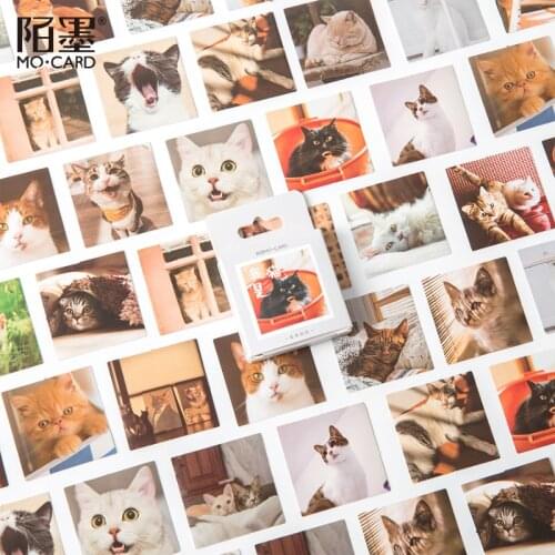 46 Pieces Cute Cat Animal Series Cute Boxed Kawaii Stickers Planner Scrapbooking Stationery Japanese Diary Stickers