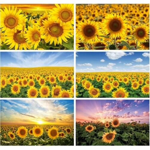 Laeacco Sunflowers Sunset Scenic Nature Light Bokeh Room Decro Photography Backgrounds Photographic Backdrops For Photo Studio