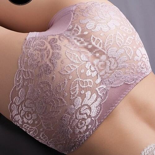 New 5pcs/lot Young Women Lace Sexy Ladies Panties Hollow Mesh Embroidered Middle Waist Girl Briefs Women Light Weight Underwear
