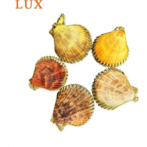 Natural Scallop Shell Pendant Gold color plated Multi Seashell pendant fashion conch shell pandent for necklace