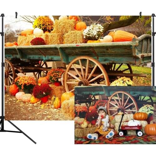 Halloween Photography Background Pumpkin Lantern Night Bat Moon Backdrop Family Party Decoration Props Banner for Photo Studio