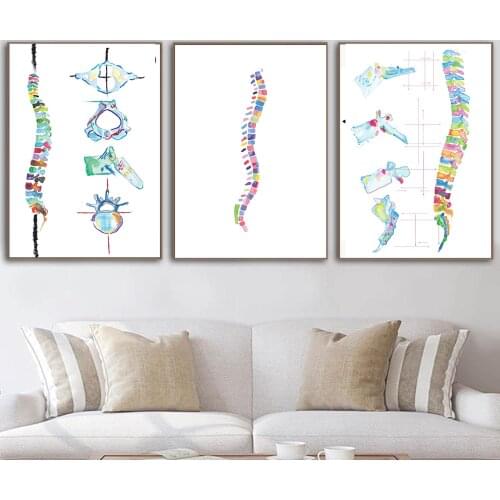 Watercolors Spine Anatomy Poster Medical Canvas Painting Chiropractor Wall Art Pictures For Physical Therapists Room Prints