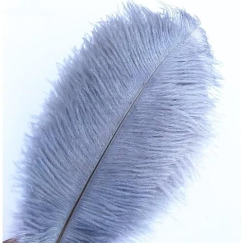 10Pcs/Lot Gray Ostrich Feather Decor 15-70cm/6-28" Grey Ostrich Feathers Wedding Feathers Decoration Craft Carnaval Plumas Diy