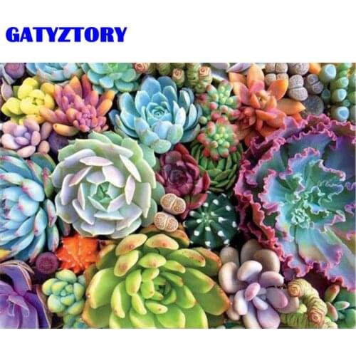 GATYZTORY Oil Painting By Number Colour Succulents Flower On Canvas For Child Adults Picture By Numbers Acrylic Paint Home Decor