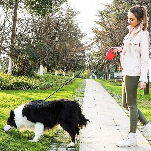 Dog Leash Five meters For Small Medium Dog & Cat Reflective Traction Rope Adjustable Leashes Easily walk your cat and your dog