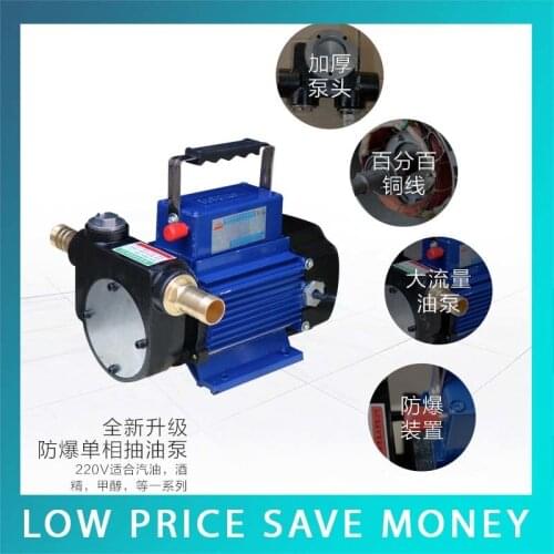 80L/min Alcohol Pump 220V Electric Liquid Transfer Pump
