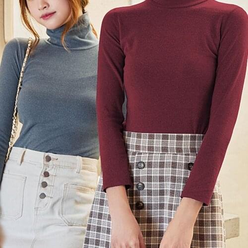 Women Autumn Long Sleeve Turtle Basic Blouse T-shirt Warm Slim Pullover Top sexy see-through stretch Slim Soft tee shirts mujer