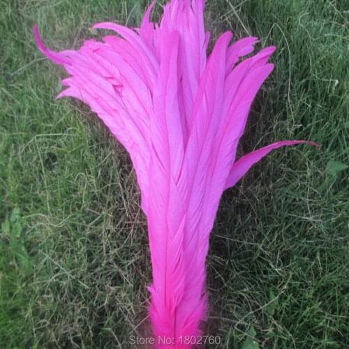 Wholesale 100 pcs beautiful rose rooster tail feathers 12-14 inches / 30-35 cm Free shipping