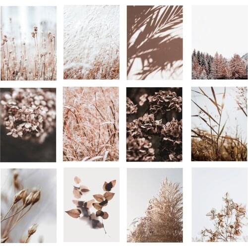 Modern Nordic Landscape Painting Wall Art Canvas Plant Flower Leaf Picture Forest Farm Wheat Dune Posters Living Room Decoration