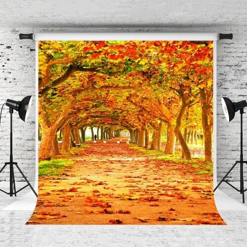 VinylBDS Scenery Photography Autumn Leaves Backdrops Wood Floor Photography Country Road Photo Bckdrop For Wedding