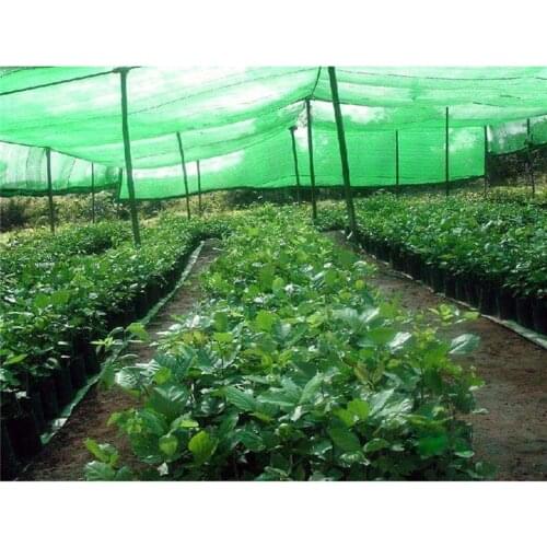 3 Pin 8x10M Greenhouse Sun Protection Sunshade Fruit Protect Cover Cloth Barn Umbrella Covered Garden Terrace Anti Bird Net