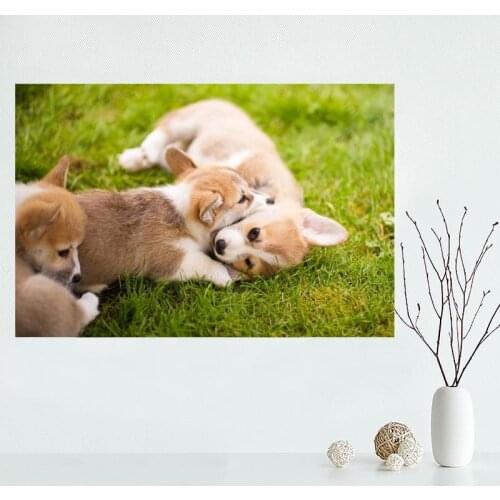 Custom Corgi Canvas Poster Bedroom Home Decoration Wall Poster Art Print Canvas Fabric Gift For Friend 50x75CM,60x90CM