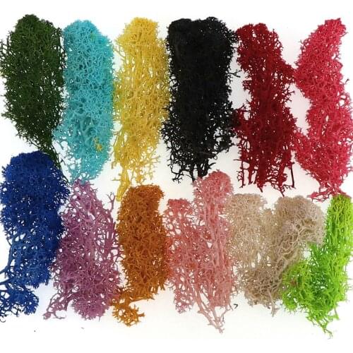 Immortal Natural Moss Norwegian Reindeer Garden Artificial Plant Flower Craft Landscape Wedding Multi-Color Grass Moss 20g
