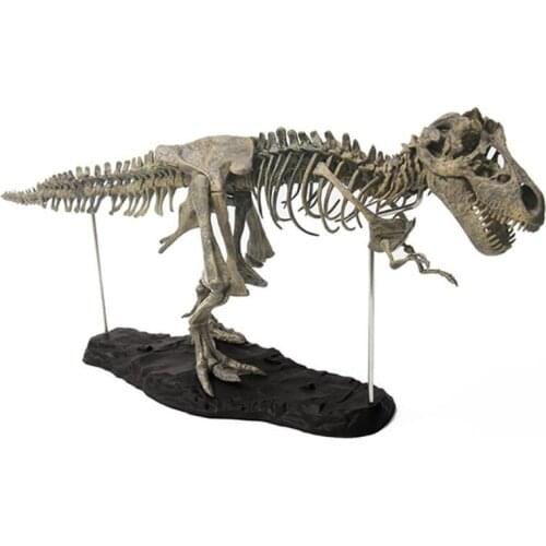 2020 New Drop Shop. T Rex Tyrannosaurus Rex Skeleton Dinosaur Toy Animal Model Collector Super Decor
