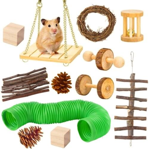 12PCS Natural Wooden Hamster Chew Toy Set Dental Care Guinea Pig Teeth Grinding Molar Toy Funny Tunnel Toy