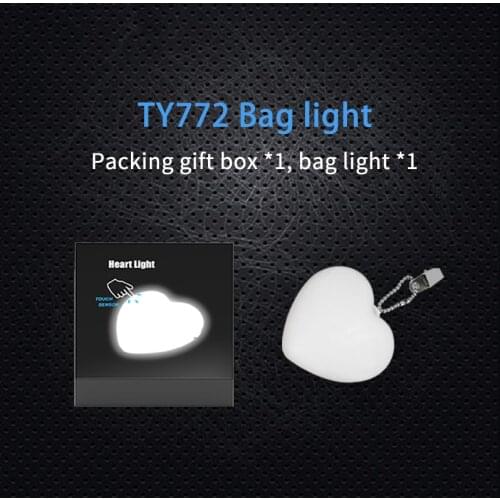 LED Bag Night Light Small Portable Lighting Camping Outdoor 2 Model Night Lamp Handbag Light for Woman