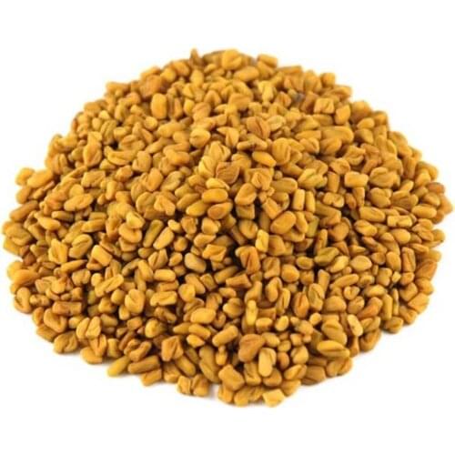 Fenugreek Foenum Graecum 50-400 GR Free Shipping
