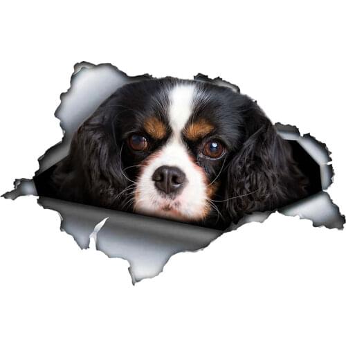 S50321#13/15/17CM Personality PVC Decal Cavalier King Charles Dog Car Sticker on Motorcycle Laptop Decorative Accessories