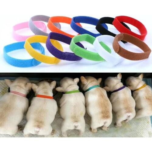 10pc Cat Dog Collar Id Tag Soft Adjustable Puppy Id Collar Velvet Identification Newborn Pet Necklace Belt for Small Dog Kitten