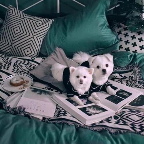 Dog clothes dog coat dog pajamas dog sleep coat dress Luxury dog pajamas chihuahua teddy dog French Bulldog five colors