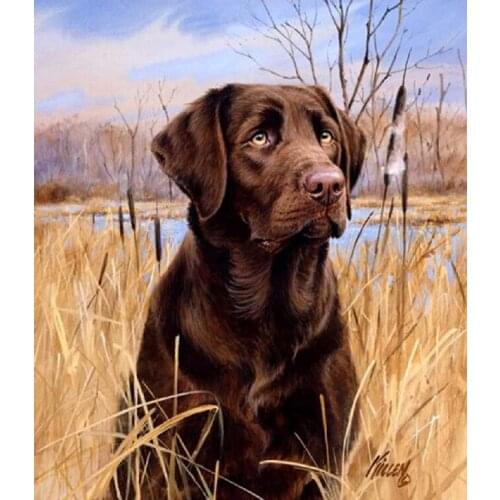 5D DIY Suqare Diamond Painting Dog Crystal Diamond Painting Cross Stitch Lovely Labrador Dog Animal Needlework Home Decorative