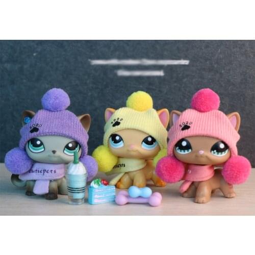 Pets Shop Shorthair Cat 391 Grey Green Eyes Siamese #58 with Accessories Hats Drink Collectible Figure