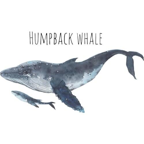 Hand Painted Humpback whales wall sticker kids rooms living room bedroom home decorations mural background wallpaper stickers