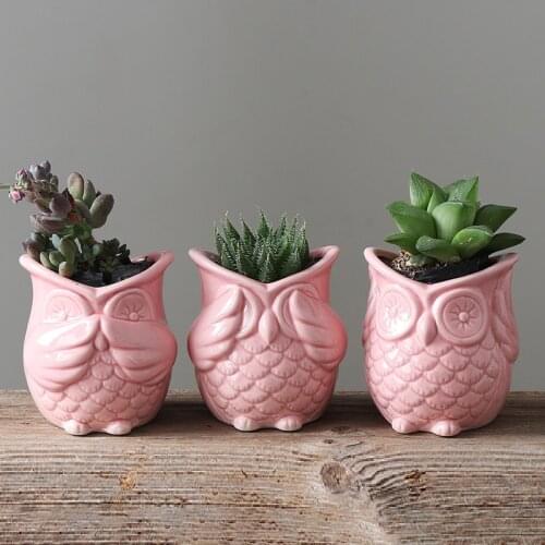 3 pieces Red Owl shaped ceramic flowerpot Mini Owls animasl porcelain flower plant pot for Desktop Home Garden decoration
