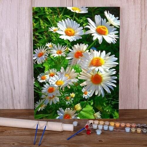 Flowers DIY Paint By Numbers Set Acrylic Paints 40*50 Boards By Numbers Loft Wall Picture For Wholesale