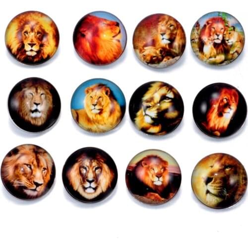 12pcs/lot Lion Pattern Charms 18mm Glass Snap Button For DIY Charms Bracelet 18mm Snaps Jewelry KZ0192