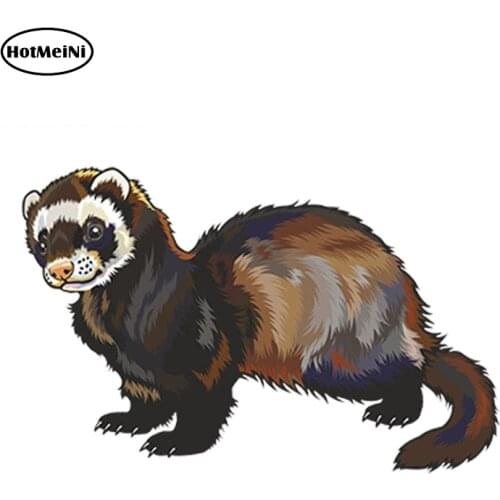 HotMeiNi 13cm x 6.5cm Car Sticker Cartoon Ferret Vinyl Sticker Laptop Travel Luggage Decal Waterproof Car Styling Accessories