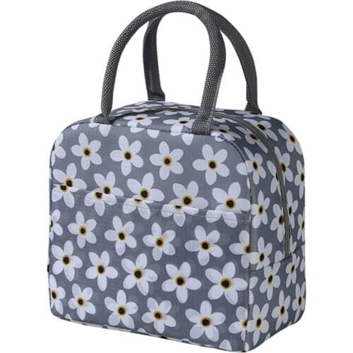 Insulated Lunch Bag Thermal Cartoon Pattern Carry Case Functional Portable Cold Lunch Bag Food Picnic Bento Pouch Women Girl Kid