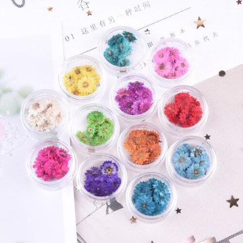 20pcs/about 1cm,Nature Pressed petals mini chrysanthemum flower,DIY Nail Art Flora Gel Manicure Stickers,Flores Facial Decor