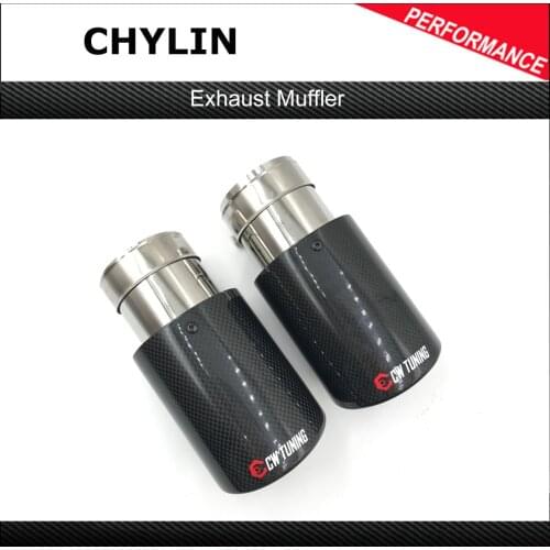 1 Piece Car Carbon Muffler Tip Exhaust System Universal Crimping Stainless Silver Exhaust Pipe Mufflers Multi-size For Ak