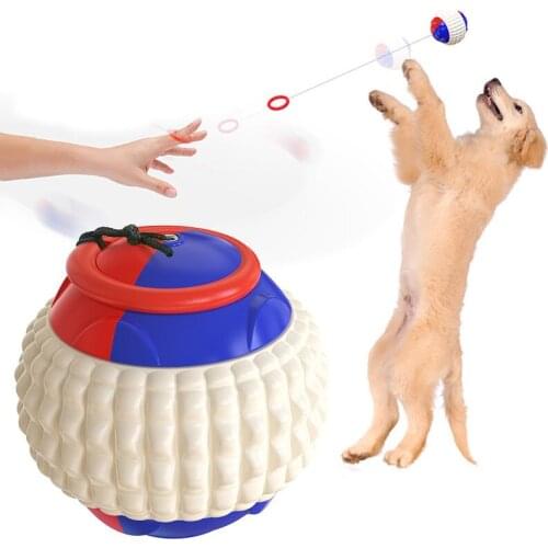 Pet supplies grinding teeth to bite dog training players throwing toy ball