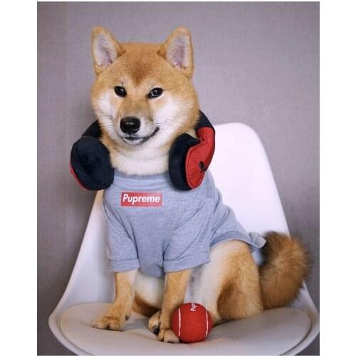 INS Trend Dog Hoodies for Small Medium Dogs Gray Cotton Dog Sportshirt Pet Outing Clothing Shiba Inu and bulldog french love