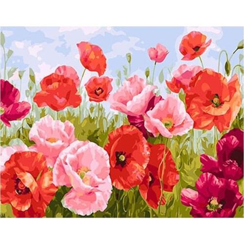 5d Diamond Embroidery Poppy flowers diy diamond painting cross stitch full square round children puzzle needleworks arts L79