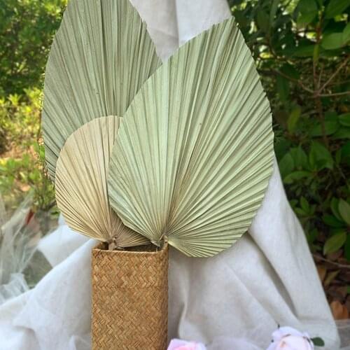 Natural Dried Cattail Leaf Fan Palm Leaf Fan Window Display Art Wall Hanging Decor Wedding Arch Arrangement Palm Spear practical