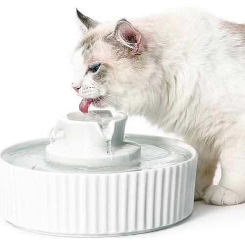 Portable Ceramic Pet Drinking Fountain Puppy Feeding Feeder Water Fountains Dispenser With Filters For Cats Dogs Container 2021