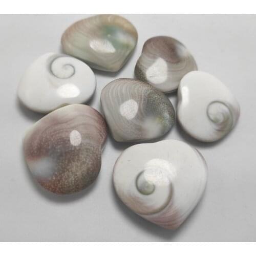 5pcs Natural Sun shell fossil Fossil Specimen Crystal Love Heart Reiki Shiva