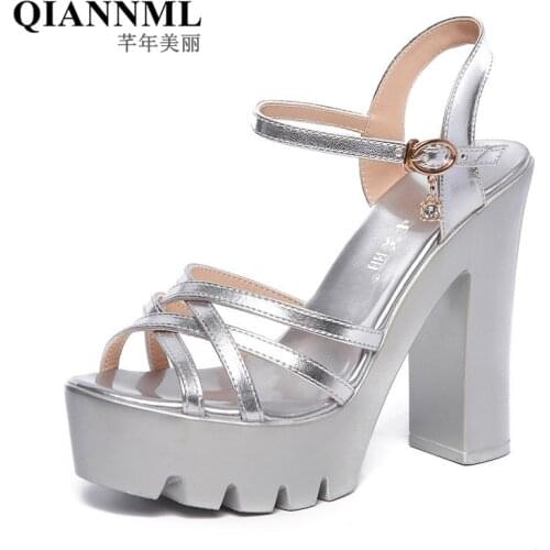 13cm Block Heels Platform Sandals Woman Summer Shoes 2021 Ankle Buckle High Heel Sandals Ladies Office Shoes White Silver