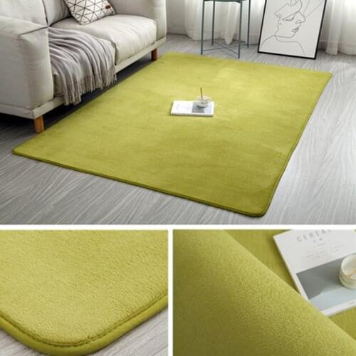 Newest Coral Velvet Carpet Solid Color Water Absorption Sofa Carpet Memory Foam For Bedroom Living Room Children rug Yoga Mats